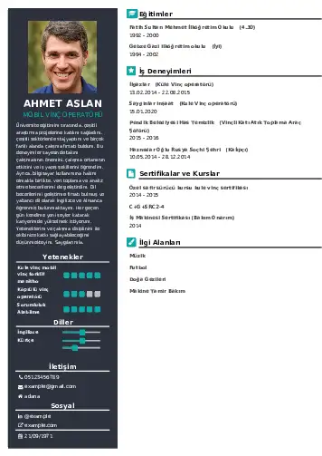 cv indir